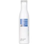 SHAMPOO ANT FRIZZ 250ML